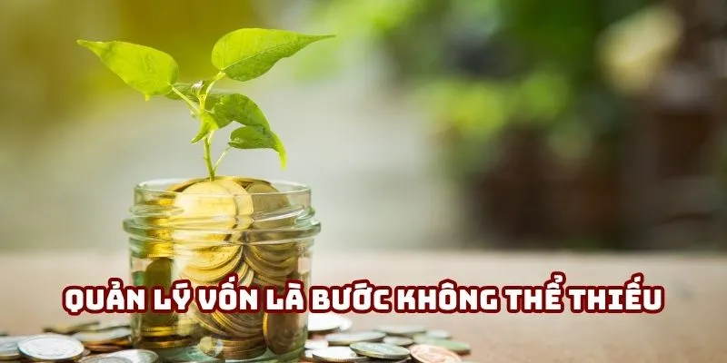 Quản lý vốn hiệu quả là bước không thể thiếu trong hướng dẫn